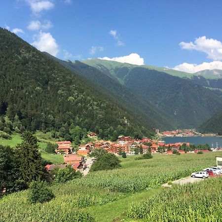 Zeren Pansiyon Kamalac Экстерьер фото