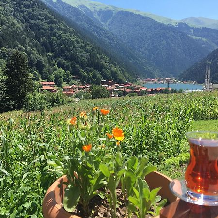 Zeren Pansiyon Kamalac Экстерьер фото