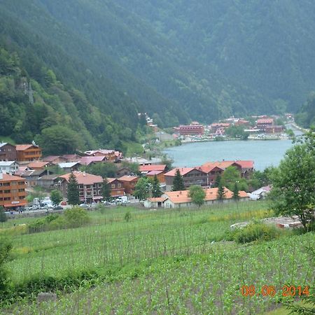 Zeren Pansiyon Kamalac Экстерьер фото