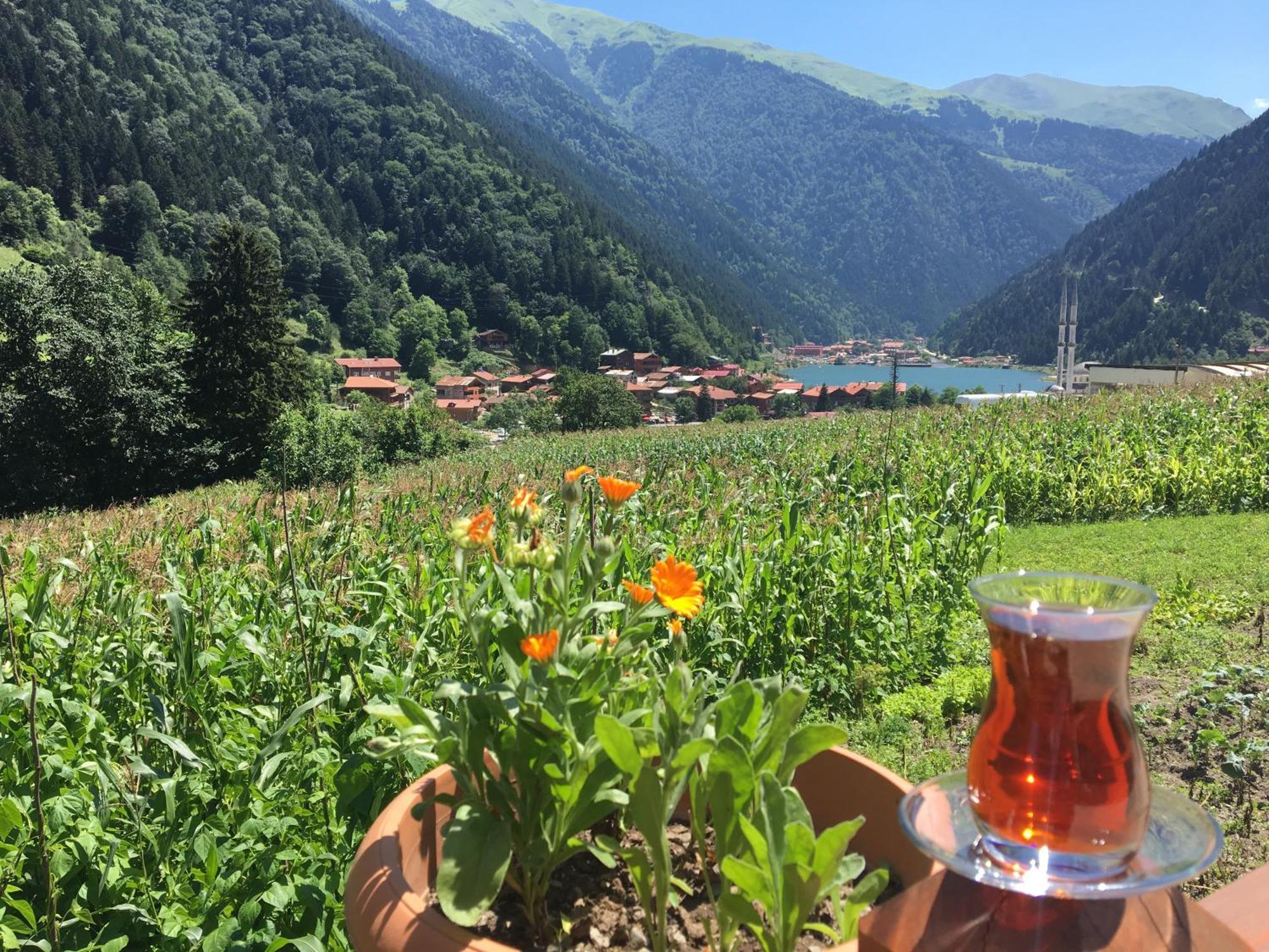 Zeren Pansiyon Kamalac Экстерьер фото